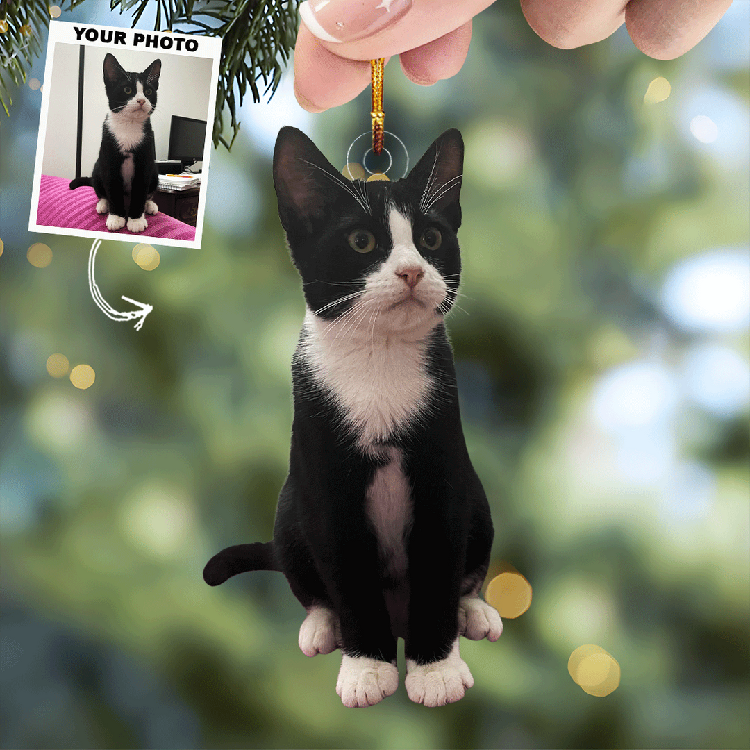 Catnip Christmas - Personalized Photo Mica Ornament - Christmas Gift For Cat Lovers, Cat Owners