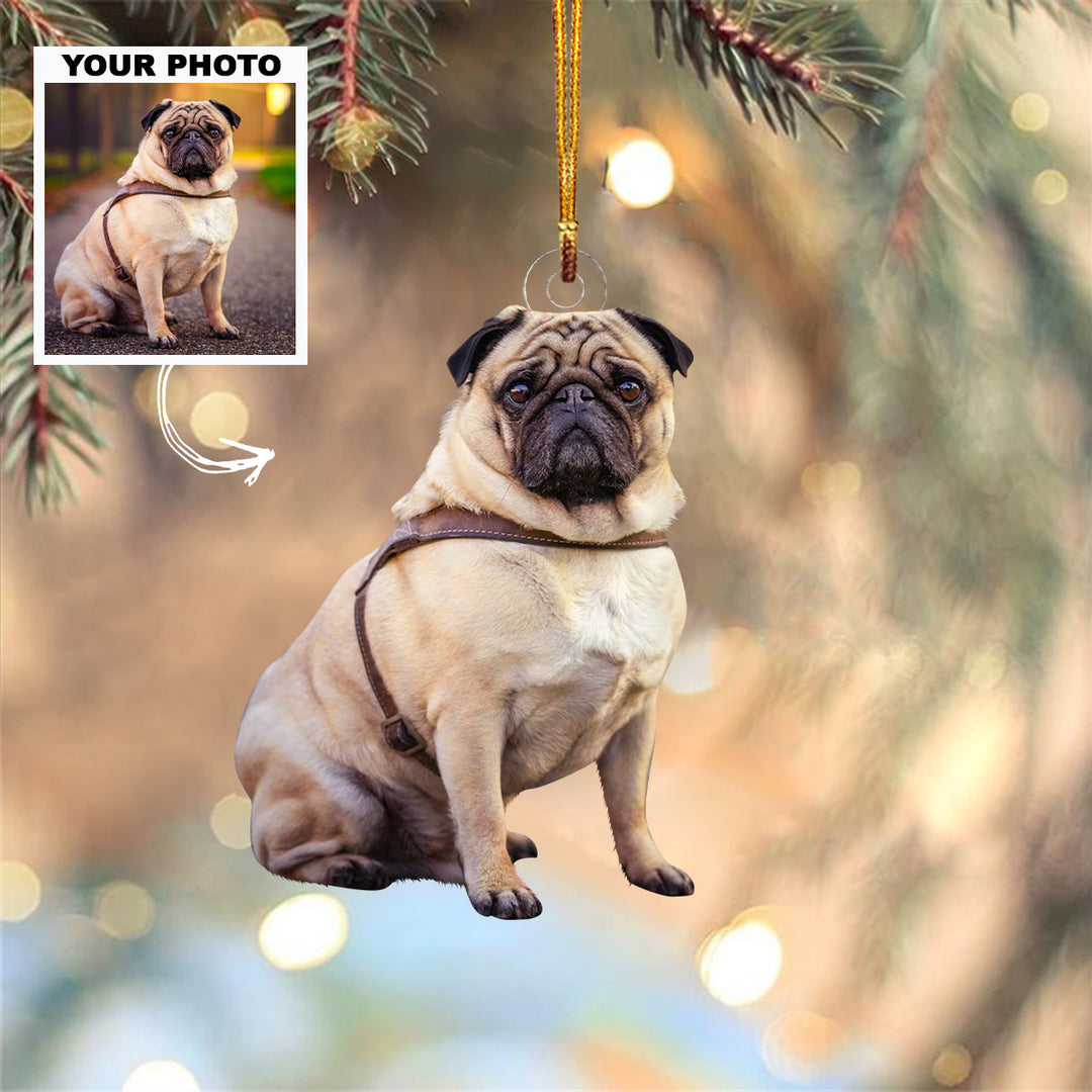 Custom Photo Ornament - Personalized Custom Photo Mica Ornament - Christmas Gift For Dog Mom, Dog Dad, Dog Lovers