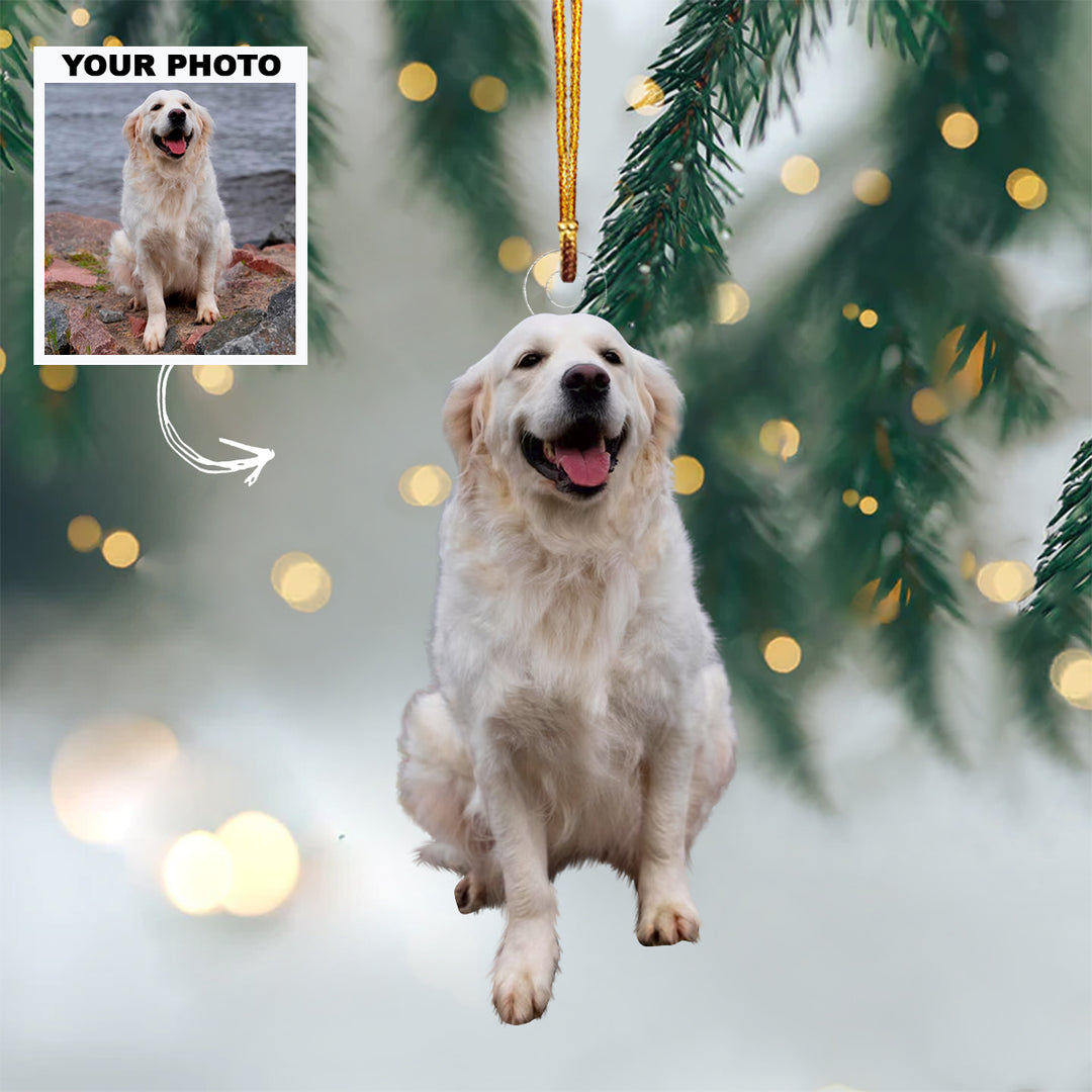 Big Family - Personalized Custom Photo Mica Ornament - Christmas Gift For Family Members, Brothers, Sisters