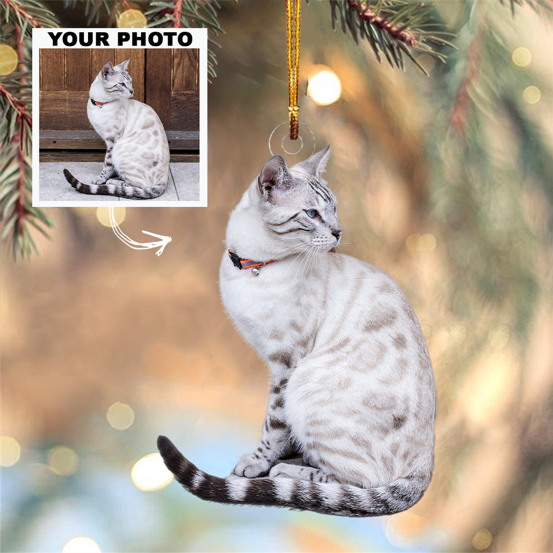 Catnip Christmas - Personalized Photo Mica Ornament - Christmas Gift For Cat Lovers, Cat Owners