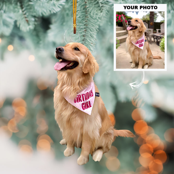 Pet's Birthday - Personalized Custom Photo Mica Ornament - Christmas Gift For Pet Lovers, Animal Lovers, Pet Owner, Friends, Family, Family Members