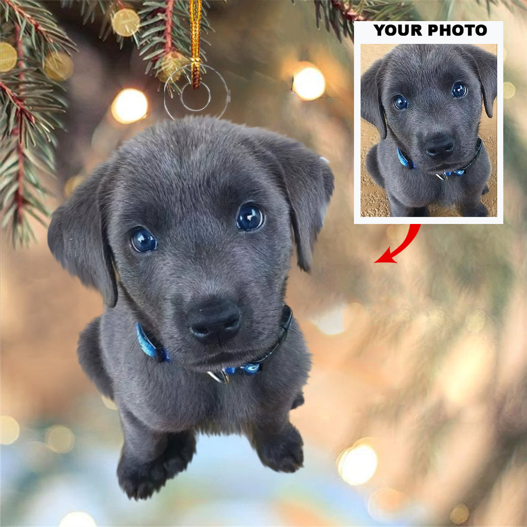 Customized Photo Ornament Christmas Pet - Personalized Photo Mica Ornament - Christmas Gift For Pet Lovers