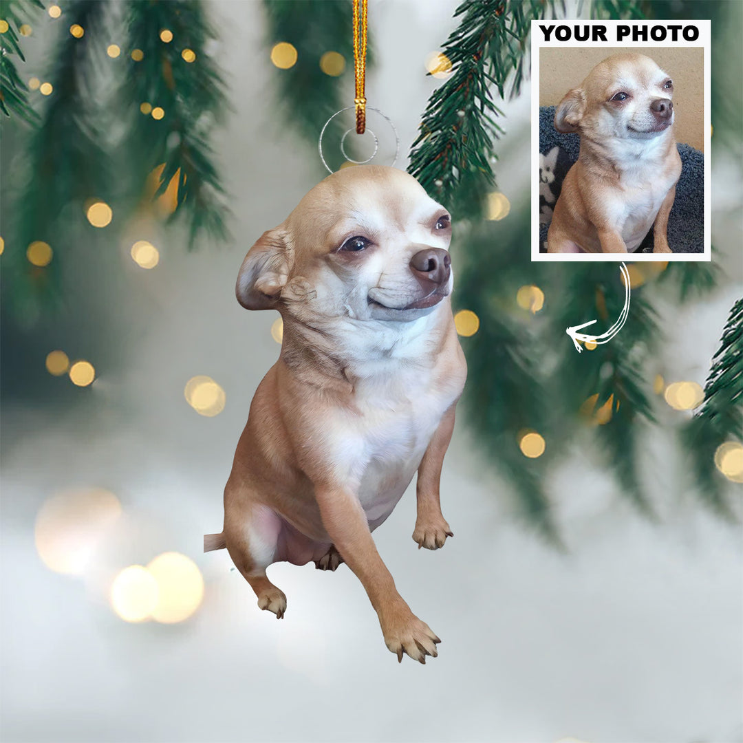 Pawsome Moments - Personalized Photo Mica Ornament - Christmas Gift For Dog Lovers, Dog Mom, Dog Dad