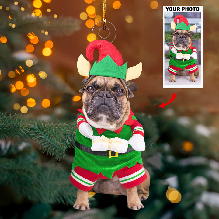 An Elf Paw - Personalized Photo Mica Ornament - Christmas Gift For Pet Lovers, Dog Lovers