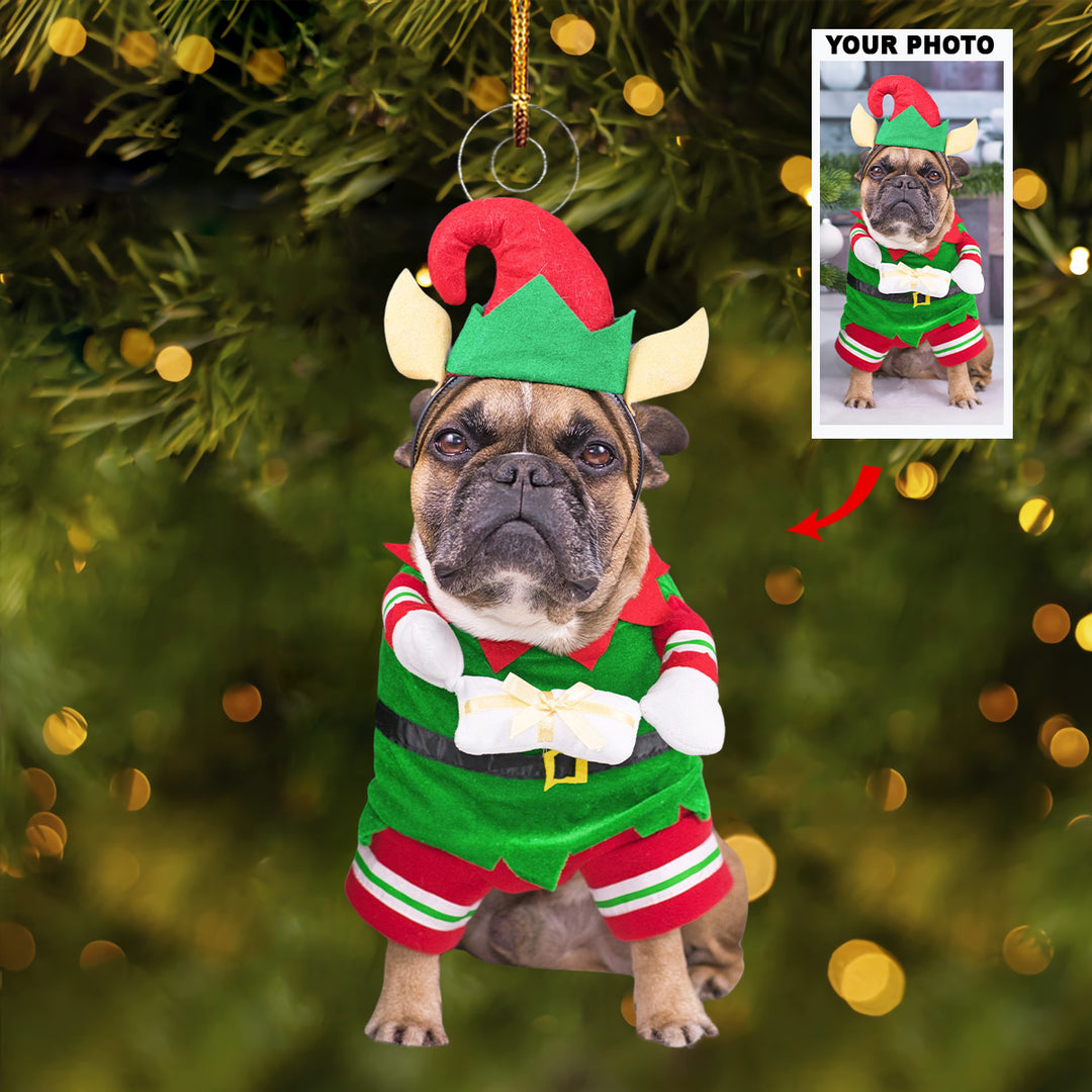 An Elf Paw - Personalized Photo Mica Ornament - Christmas Gift For Pet Lovers, Dog Lovers