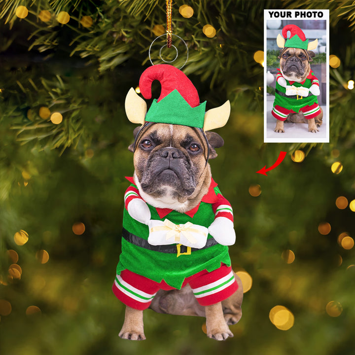 An Elf Paw - Personalized Photo Mica Ornament - Christmas Gift For Pet Lovers, Dog Lovers