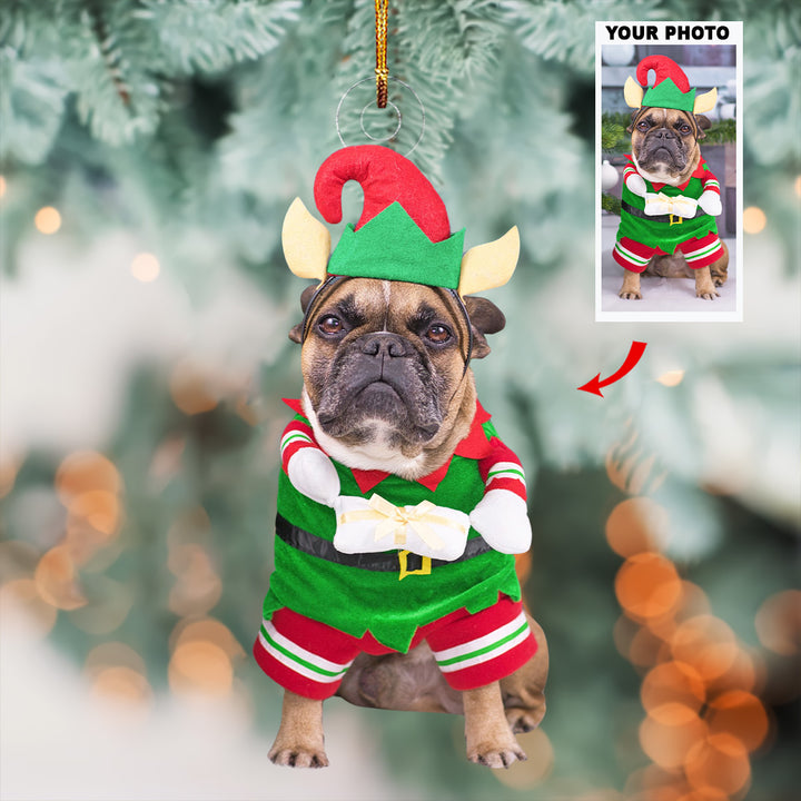 An Elf Paw - Personalized Photo Mica Ornament - Christmas Gift For Pet Lovers, Dog Lovers