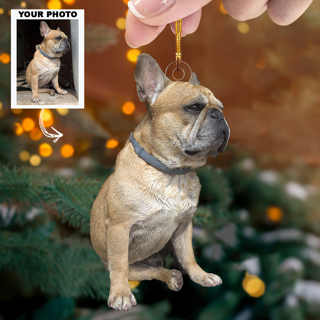 Lovely Pet - Personalized Photo Mica Ornament - Christmas Gift For Dog