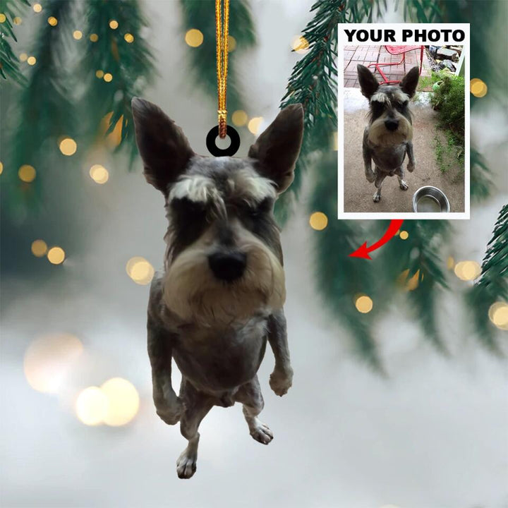 Personalized Photo Mica Ornament - Gift For Dog & Cat Lover - Funny Dog Cat ARND018