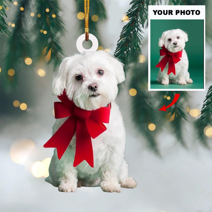 Personalized Photo Mica Ornament - Gift For Dog Lover - Dogs Christmas Photo ARND037