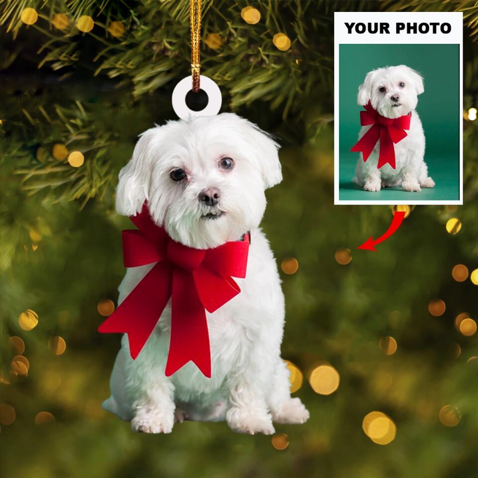 Personalized Photo Mica Ornament - Gift For Dog Lover - Dogs Christmas Photo ARND037