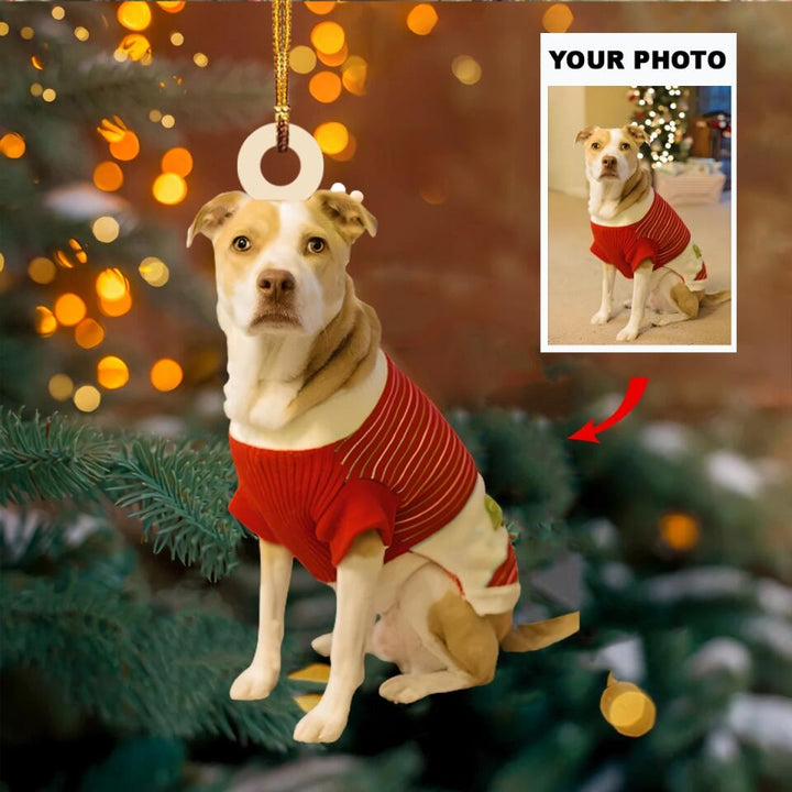 Personalized Photo Mica Ornament - Gift For Dog Lover - Dogs Christmas Photo ARND037