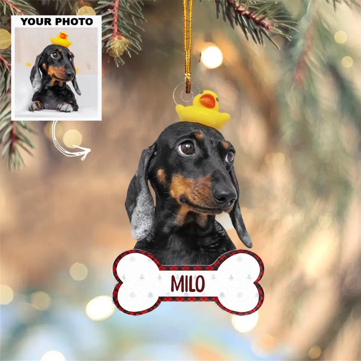 Funny Dog Cat - Personalized Custom Photo Mica Ornament - Christmas Gift For Dog Lovers, Cat Lovers AGCDM005