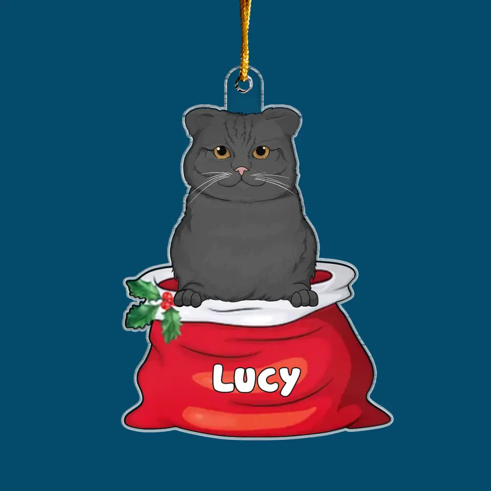 Cat In Santa Sack - Personalized Custom Mica Ornament - Christmas Gift For Cat Mom, Cat Dad, Cat Lover, Cat Owner CLA0AD006
