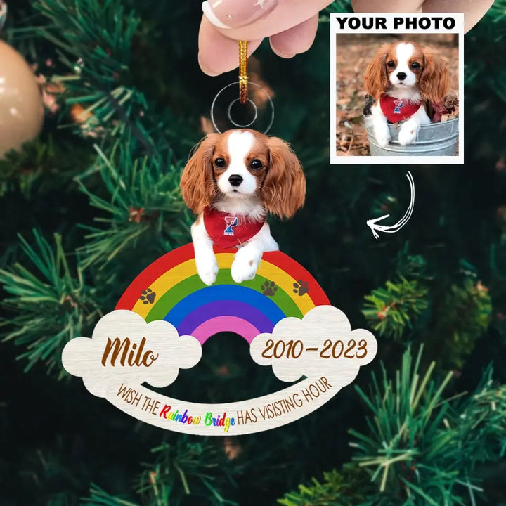 Wish The Rainbow Bridge Has Visiting - Personalized Custom Photo Mica Ornament - Memorial, Christmas Gift For Pet Lover, Pet Owner AGCHD036