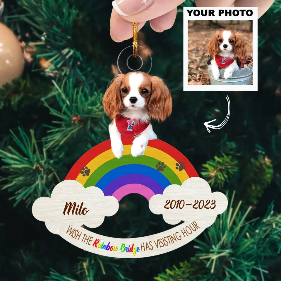 Wish The Rainbow Bridge Has Visiting - Personalized Custom Photo Mica Ornament - Memorial, Christmas Gift For Pet Lover, Pet Owner AGCHD036