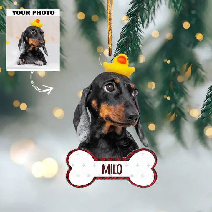 Funny Dog Cat - Personalized Custom Photo Mica Ornament - Christmas Gift For Dog Lovers, Cat Lovers AGCDM005