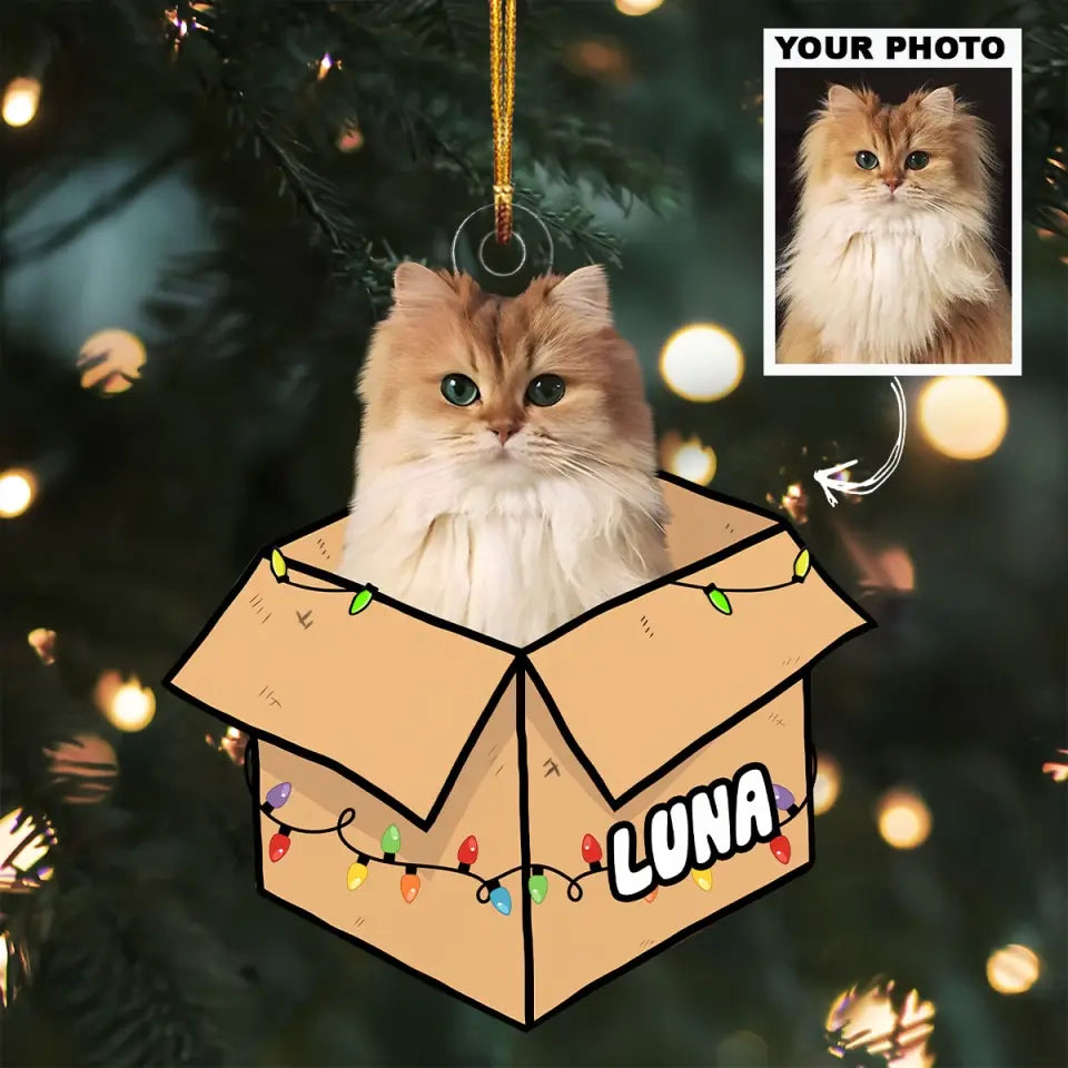 Cat In The Box - Personalized Custom Photo Mica Ornament - Christmas Gift For Cat Mom, Cat Dad, Cat Lover, Cat Owner AGCPD058