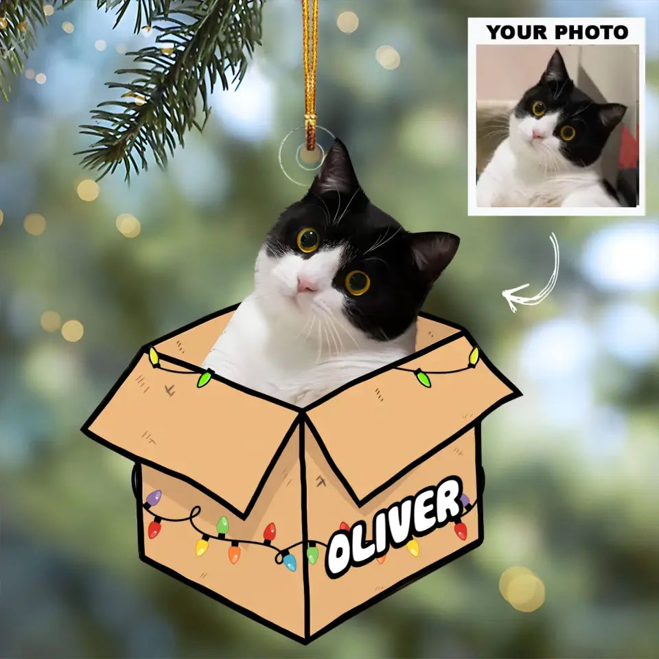 Cat In The Box - Personalized Custom Photo Mica Ornament - Christmas Gift For Cat Mom, Cat Dad, Cat Lover, Cat Owner AGCPD058