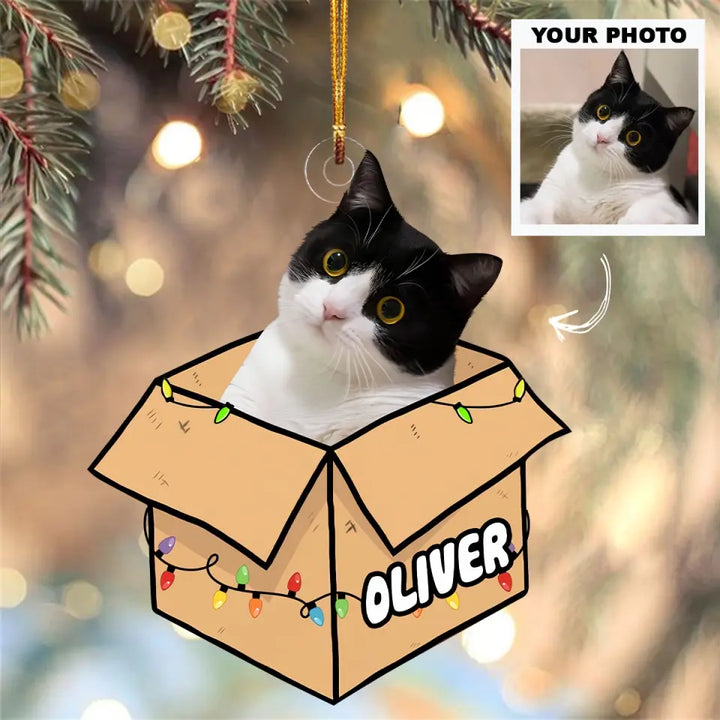 Cat In The Box - Personalized Custom Photo Mica Ornament - Christmas Gift For Cat Mom, Cat Dad, Cat Lover, Cat Owner AGCPD058