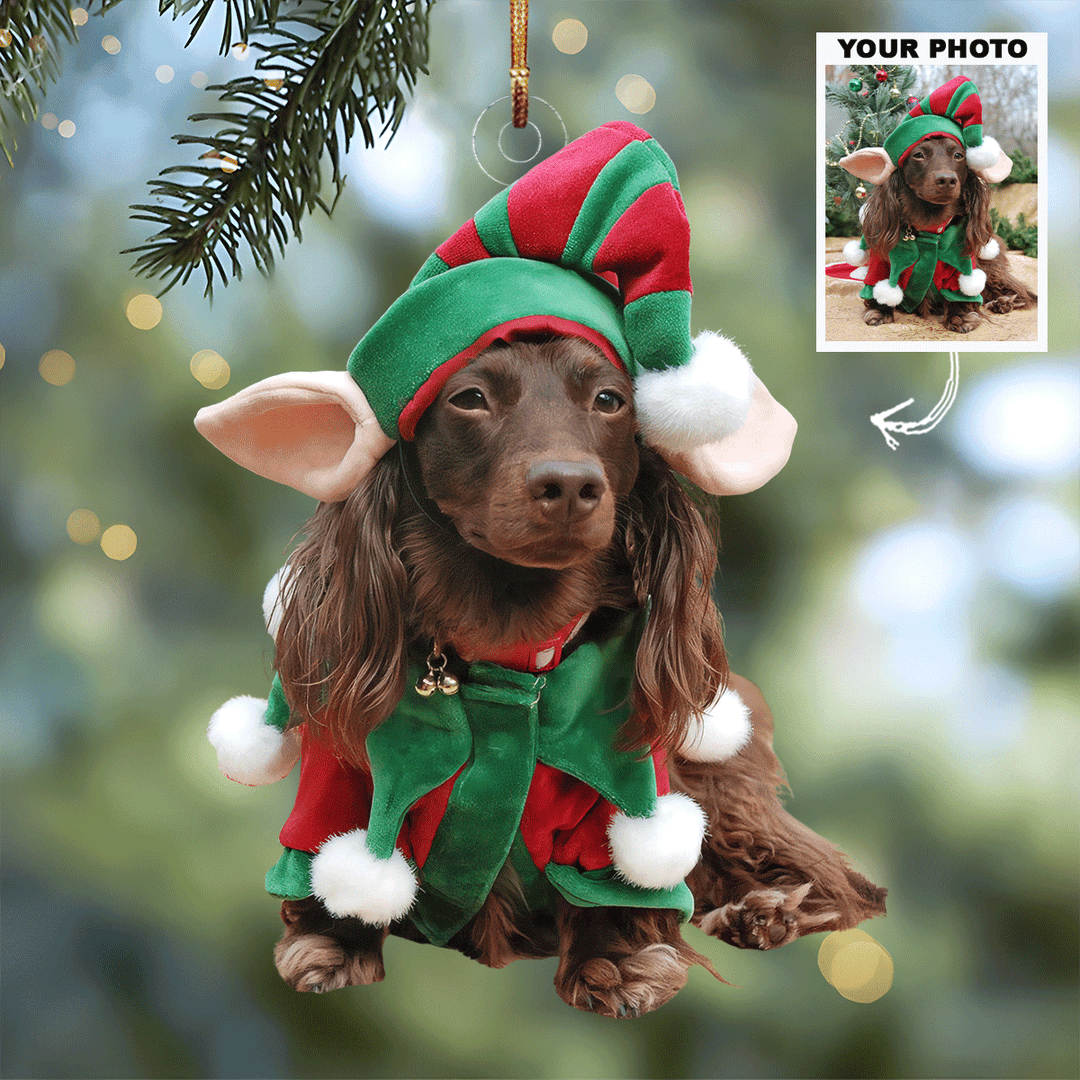 Christmas Joy Personalized Photo Mica Ornament Gift For Dog