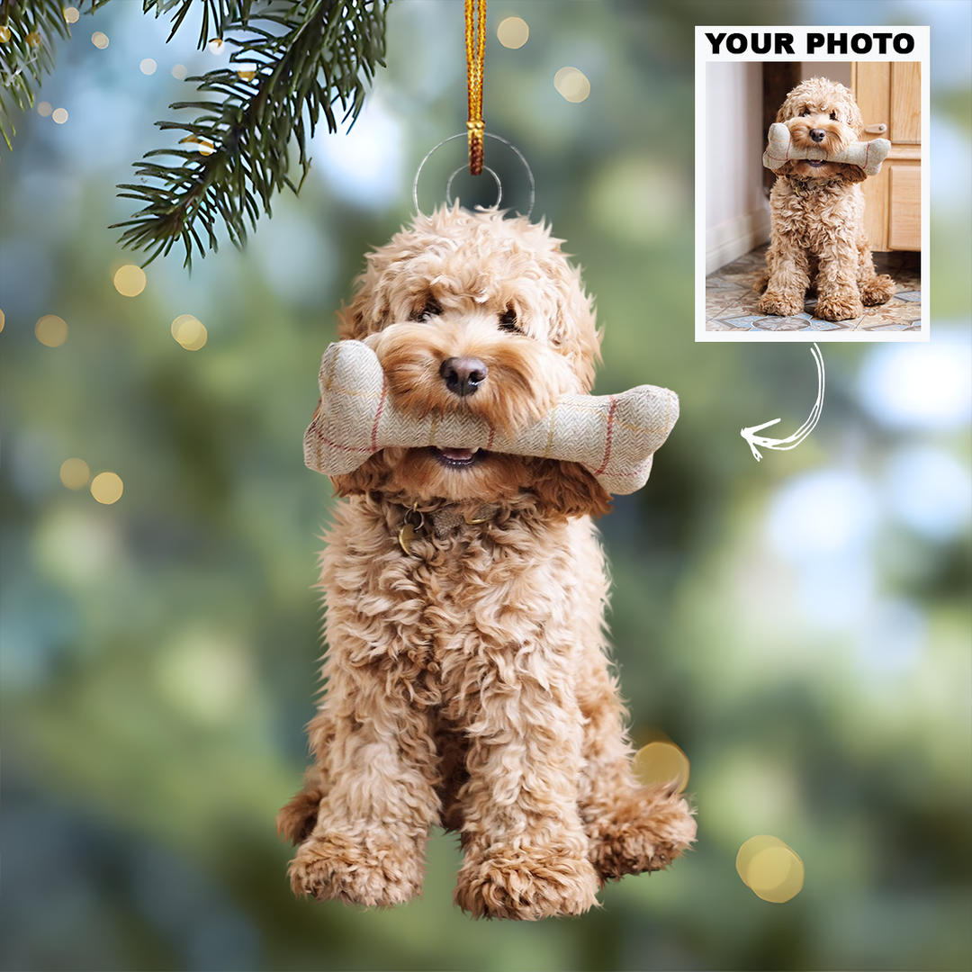 Customized Photo Ornament Pet Special Moments - Personalized Photo Mica Ornament - Christmas Gift For Pet Lovers, Dog Lovers, Cat Lovers