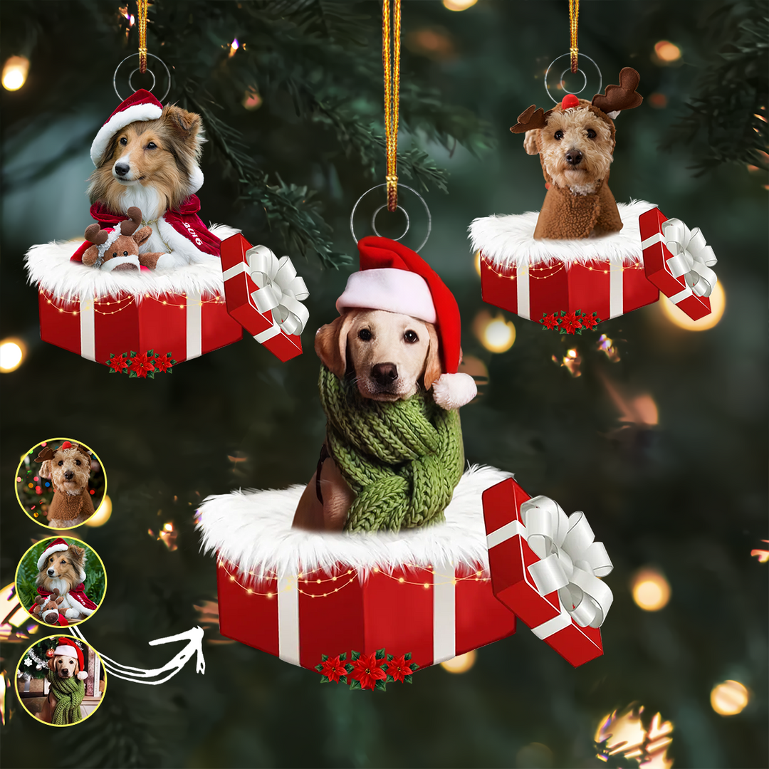 Pet Christmas Gift - Personalized Photo Mica Ornament - Christmas Gift For Pet Lovers, Cat Mom, Dog Mom UPL0HD040