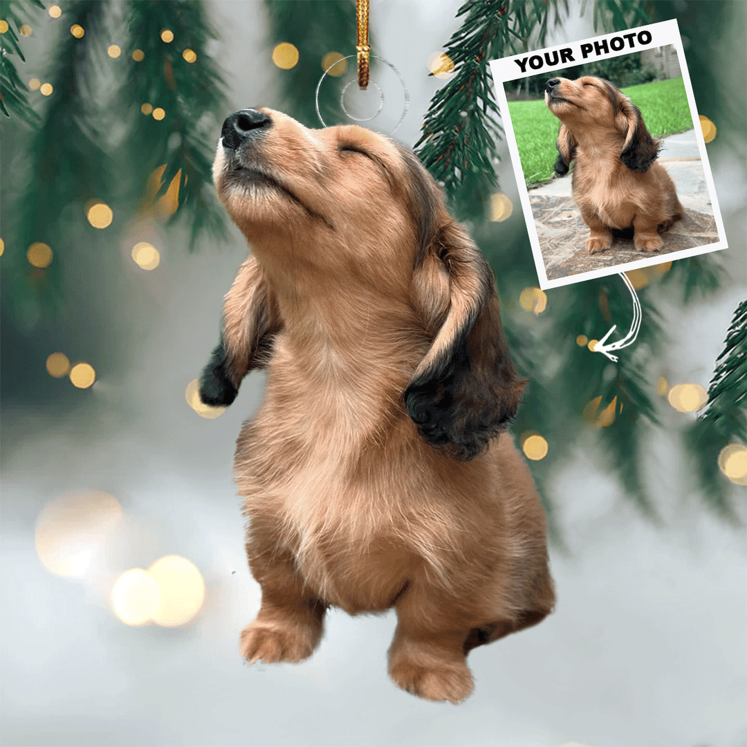 I Love You To The Moon And Back - Personalized Photo Mica Ornament - Christmas Gift For Pet Lovers, Dog Lovers, Cat Lovers