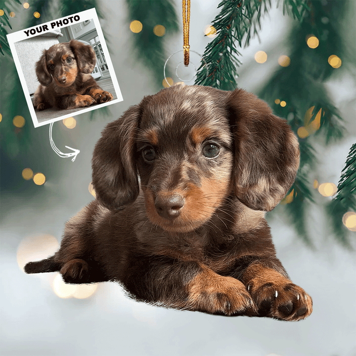 I Love You To The Moon And Back - Personalized Photo Mica Ornament - Christmas Gift For Pet Lovers, Dog Lovers, Cat Lovers