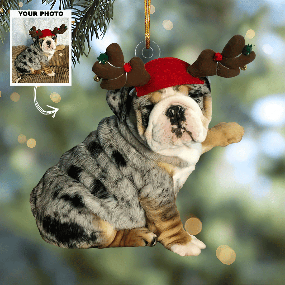 Playful Reindeer Personalized Photo Mica Ornament Gift For Dog