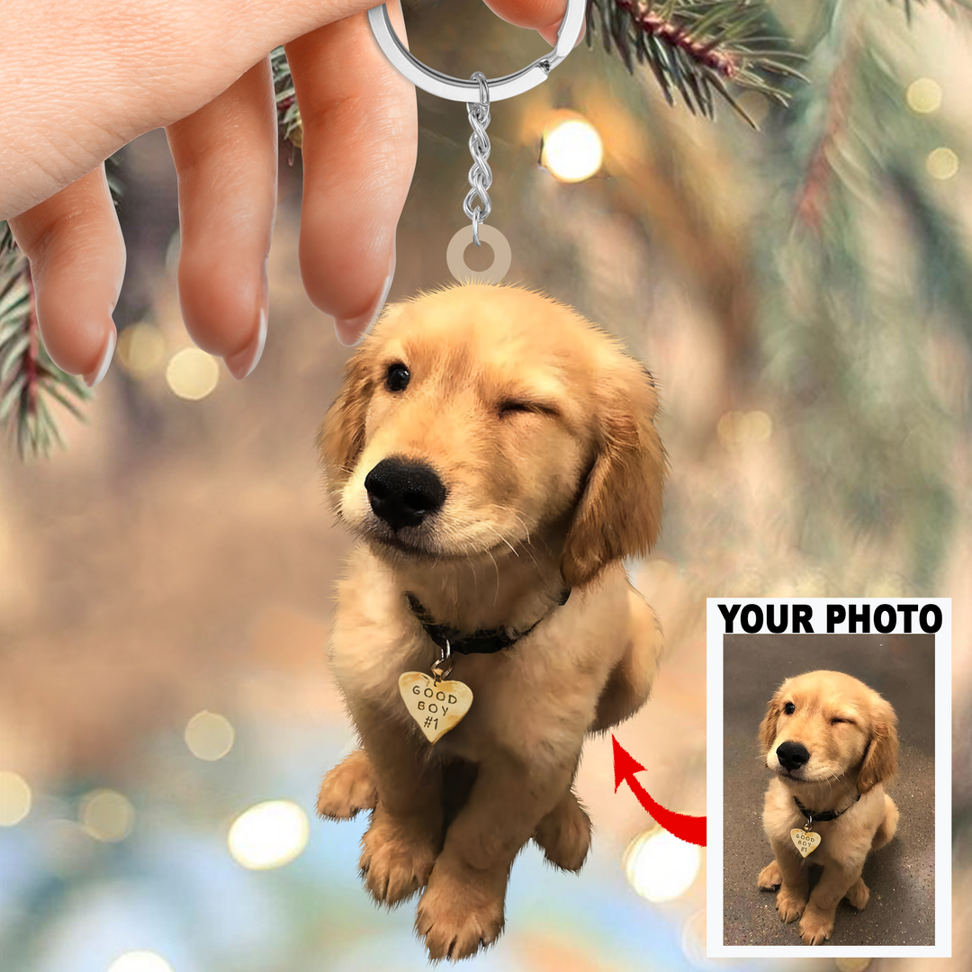 Personalized Custom Keychain - Birthday Gift For Pet Mom, Pet Dad, Dog Mom, Dog Dad, Cat Mom, Cat Dad, Dog Parents - Custom Your Photo Keychain ARND005 UPL0HD059