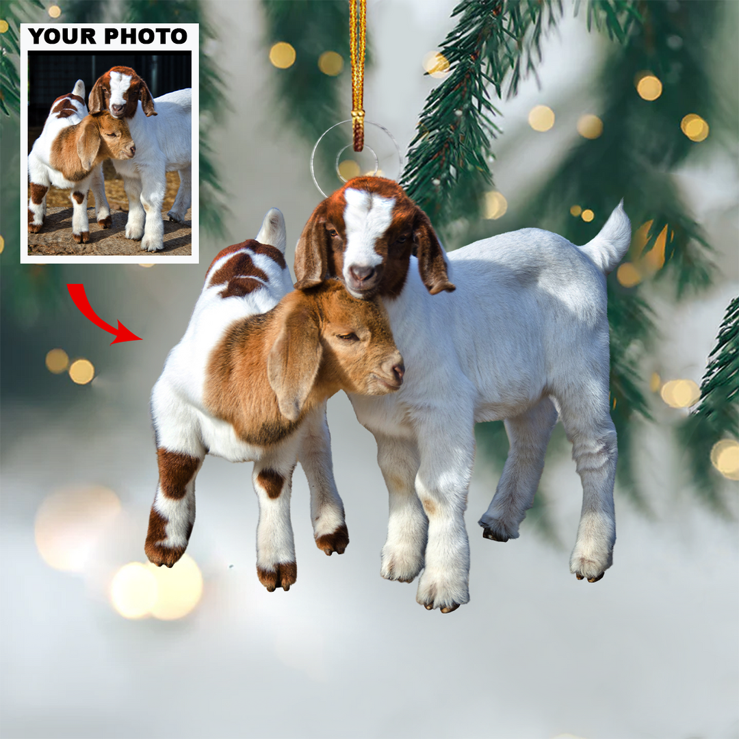 Baby Goat - Personalized Custom Photo Mica Ornament - Christmas Gift For Farmer, Goats Lover, Farm Animals Lover, Family, Family Members