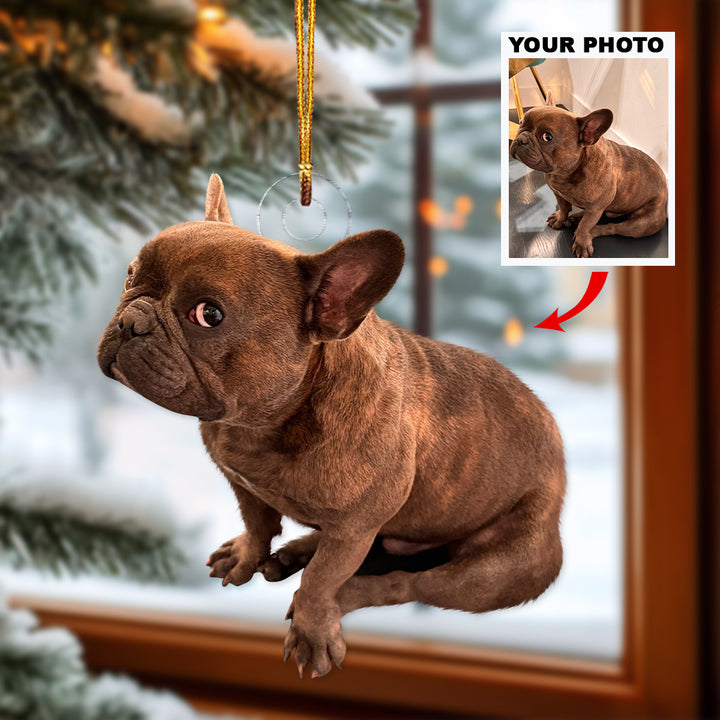 Customized Photo Ornament - Personalized Photo Mica Ornament - Christmas Gift For Pet Lovers, Dog Lovers, Cat Lover