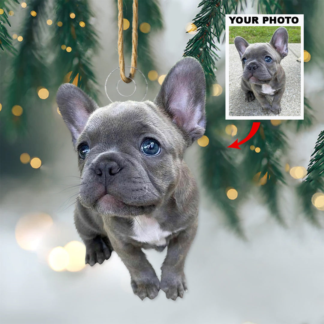 Customized Photo Ornament - Personalized Photo Mica Ornament - Christmas Gift For Pet Lovers, Dog Lovers, Cat Lover