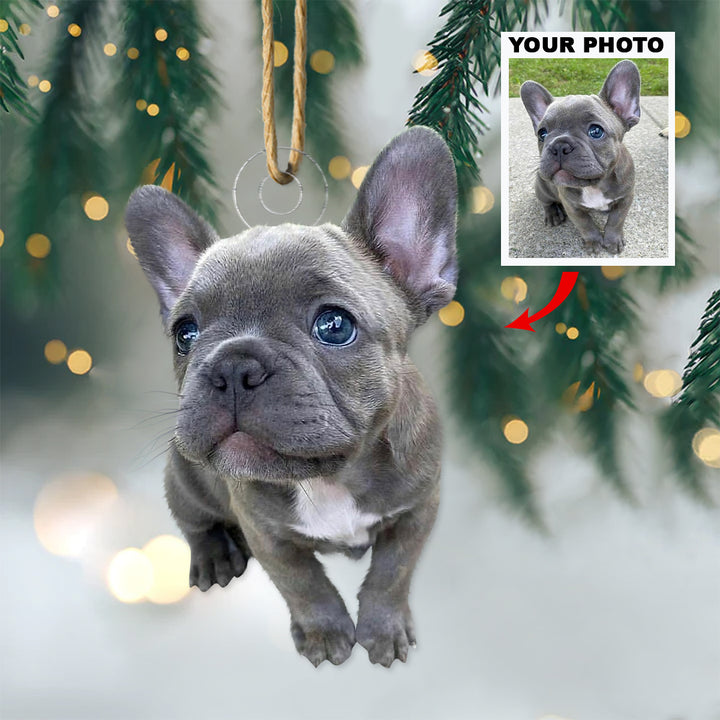 Customized Photo Ornament - Personalized Photo Mica Ornament - Christmas Gift For Pet Lovers, Dog Lovers, Cat Lover