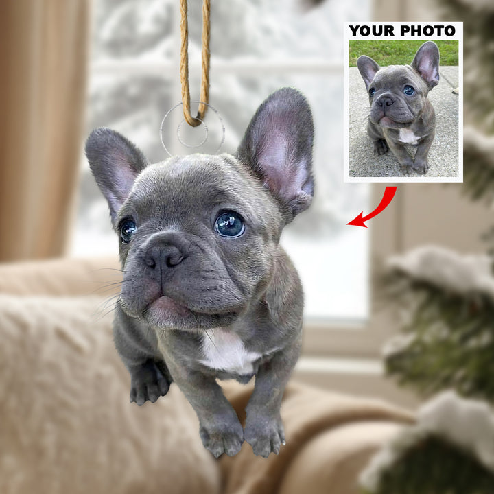 Customized Photo Ornament - Personalized Photo Mica Ornament - Christmas Gift For Pet Lovers, Dog Lovers, Cat Lover