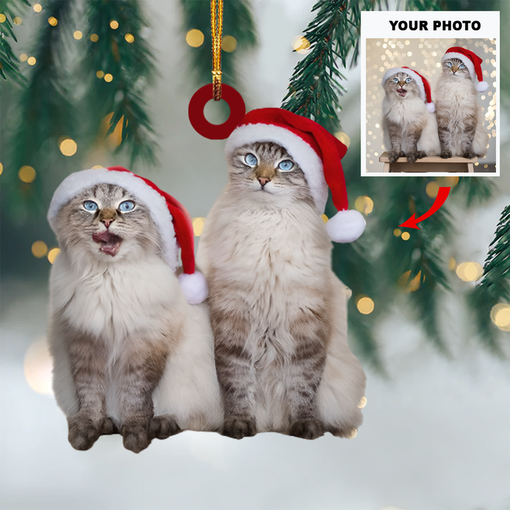 Personalized Photo Mica Ornament - Gift For Cat Lover - Cats Christmas Photo ARND037
