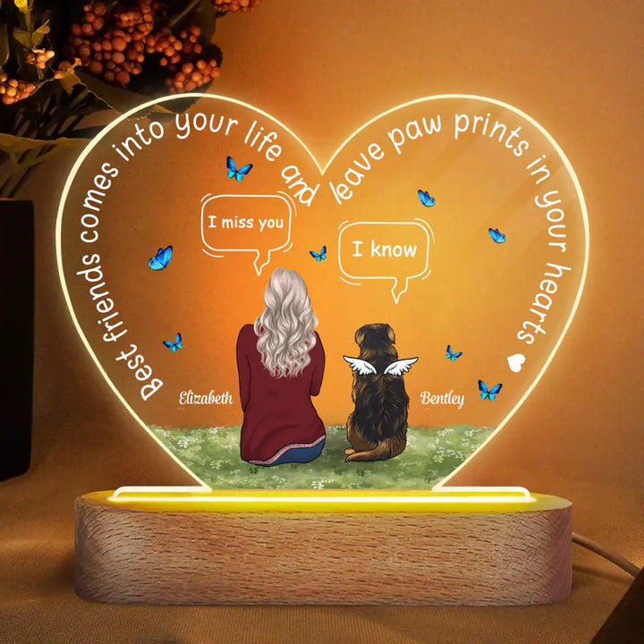 Personalized Acrylic LED Night Light - Gift For Pet Lover - The Moment Your Heart Stopped ARND0014