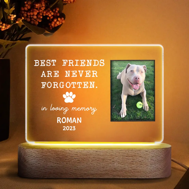 Personalized Acrylic LED Night Light - Gift For Dog Lover - Best Friends Are Never Forgotten ARND036