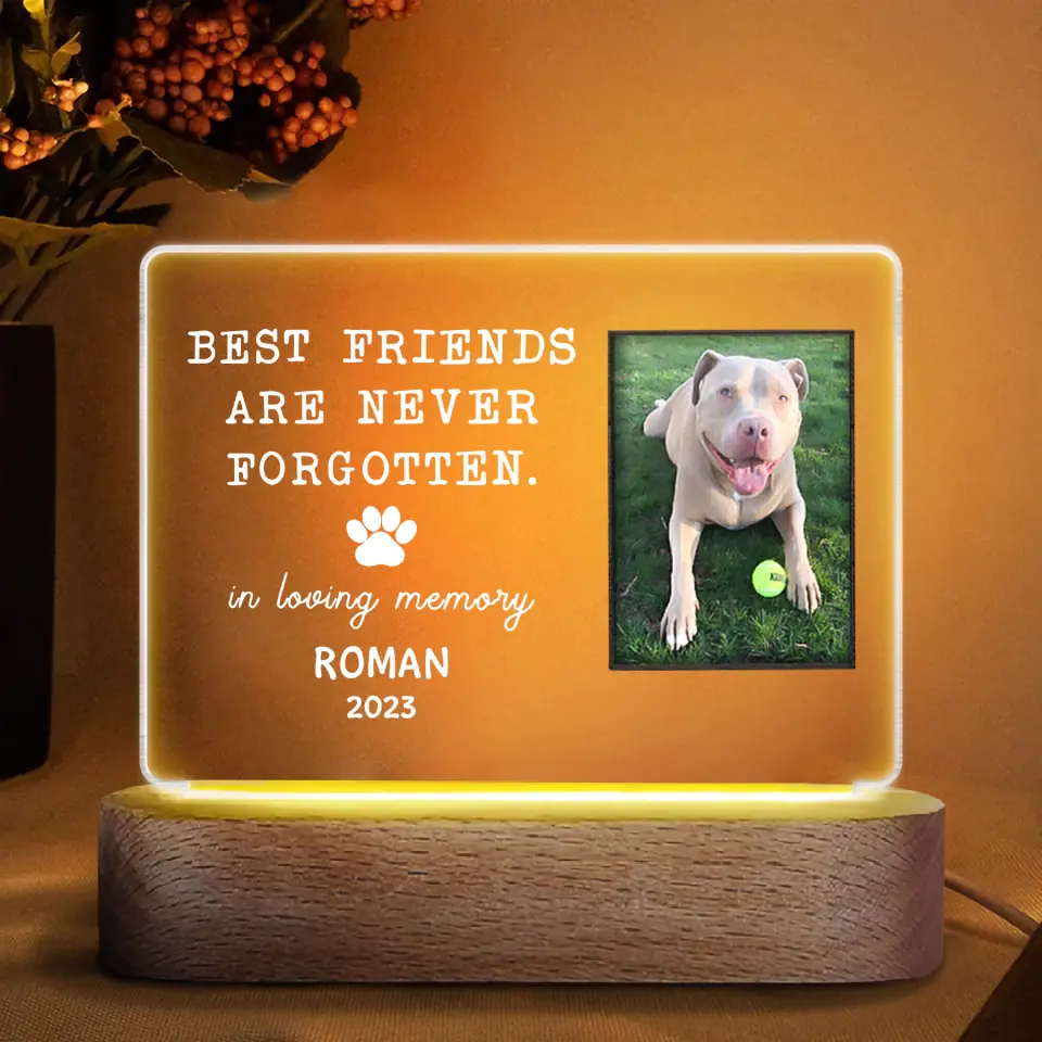 Best Friends Gifts - Personalized Besties Night Light Photos Best