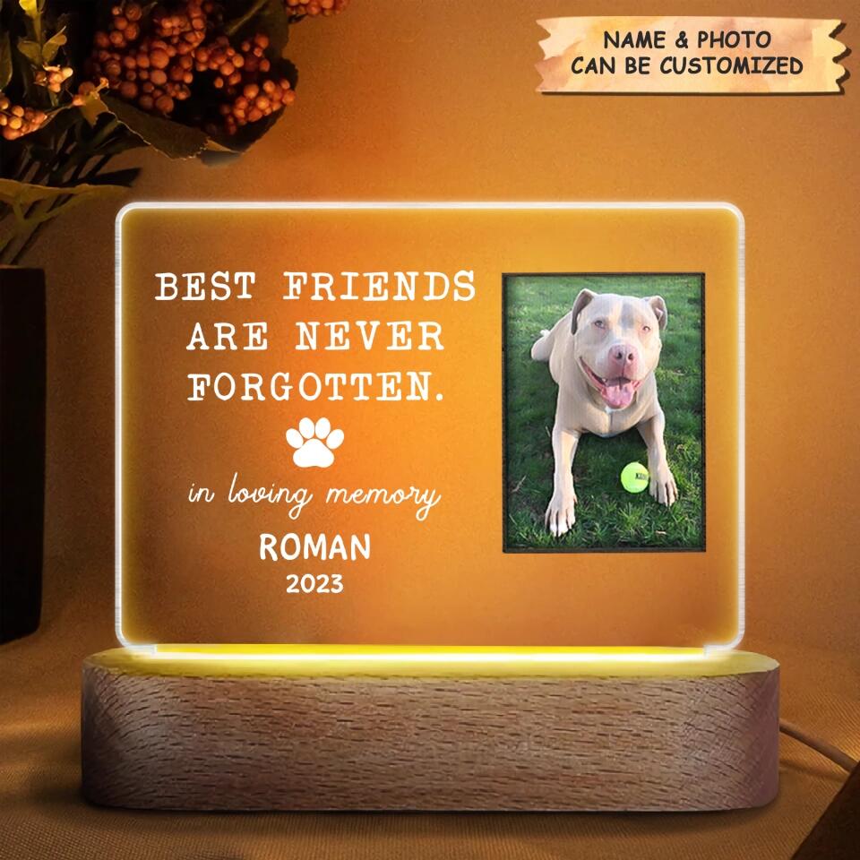 Personalized Acrylic LED Night Light - Gift For Dog Lover - Best Friends Are Never Forgotten ARND036