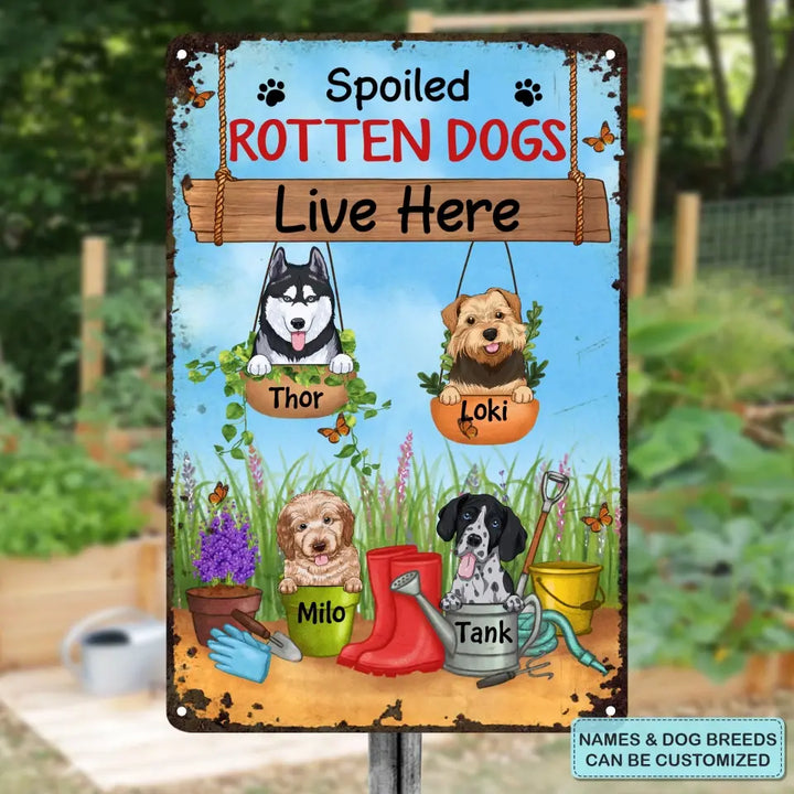 Personalized Custom Metal Sign - Birthday Gift For Dog Lover, Dog Dad, Dog Mom - Beware Spoiled Rotten Dogs Live Here