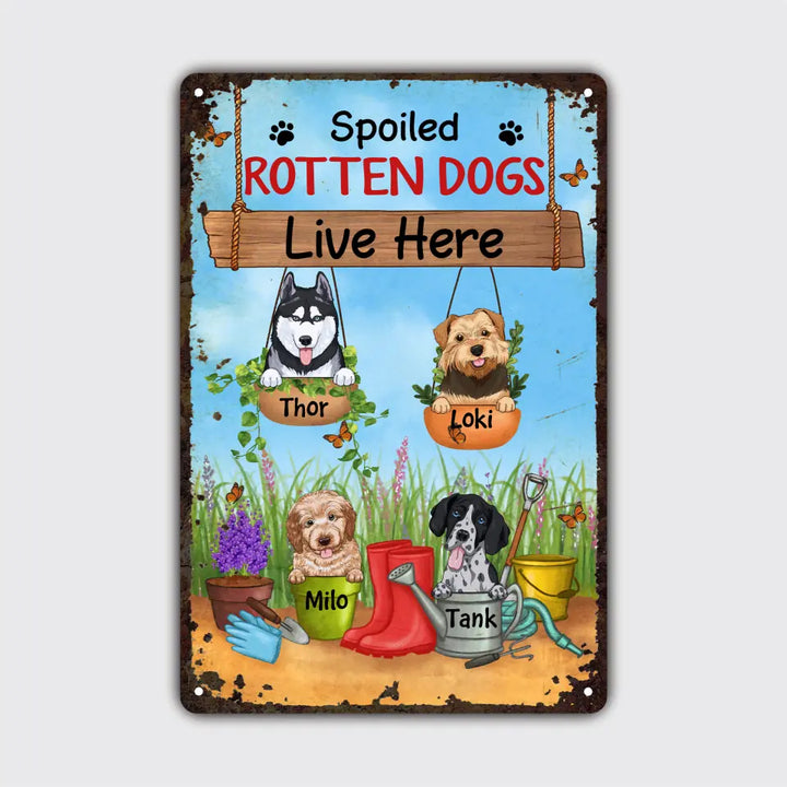 Personalized Custom Metal Sign - Birthday Gift For Dog Lover, Dog Dad, Dog Mom - Beware Spoiled Rotten Dogs Live Here