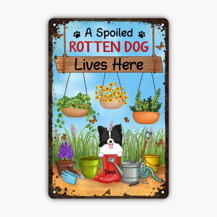 Personalized Custom Metal Sign - Birthday Gift For Dog Lover, Dog Dad, Dog Mom - Beware Spoiled Rotten Dogs Live Here