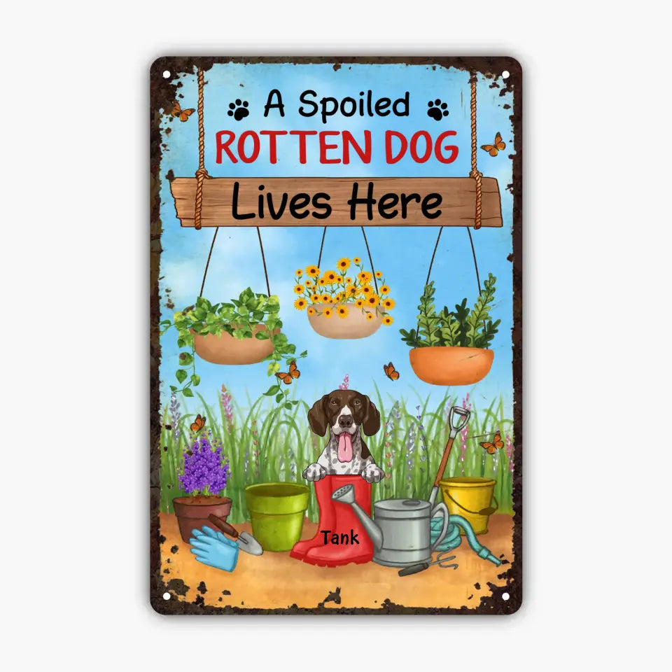 Personalized Custom Metal Sign - Birthday Gift For Dog Lover, Dog Dad, Dog Mom - Beware Spoiled Rotten Dogs Live Here