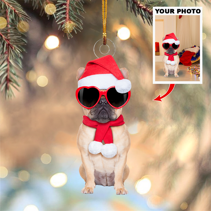 Personalized Photo Mica Ornament - Gift For Pet Lover -  Customized Your Photo Ornament V25 ARND005