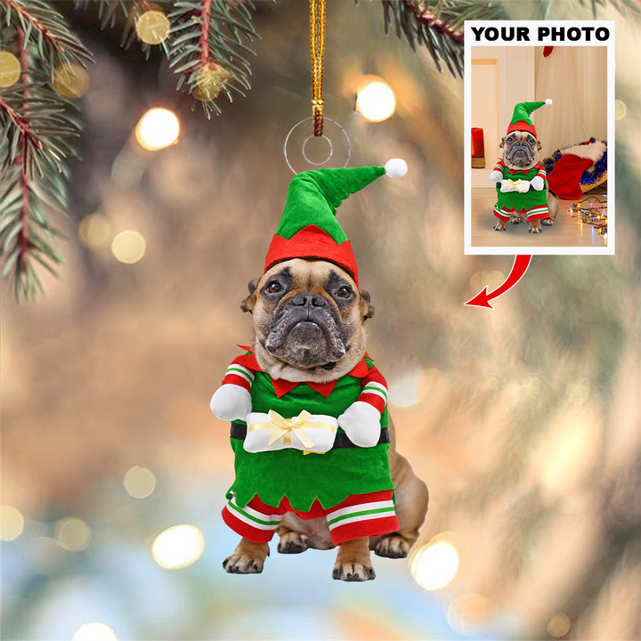 Personalized Photo Mica Ornament - Gift For Pet Lover -  Customized Your Photo Ornament V25 ARND005