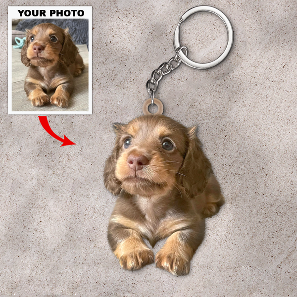 Keychain of your dog 2025